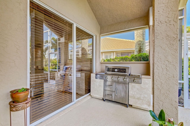 exterior space with plenty of natural light and lofted ceiling