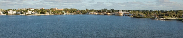 view of water feature