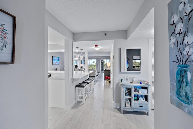 interior space featuring a textured ceiling and light hardwood / wood-style flooring