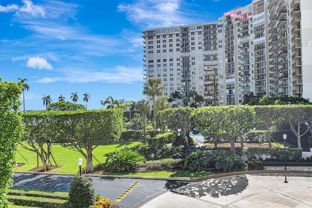 view of property's community featuring a yard