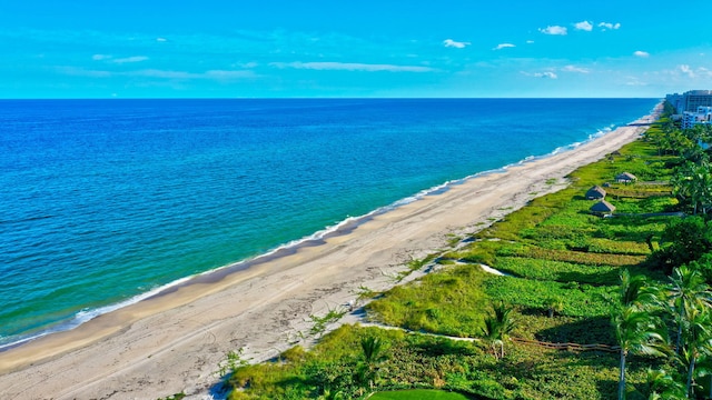 water view featuring a beach view