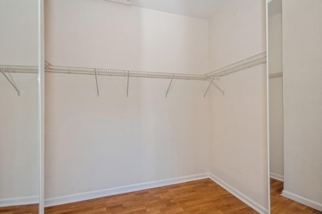 walk in closet featuring wood-type flooring