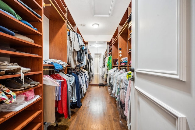 walk in closet featuring dark hardwood / wood-style floors