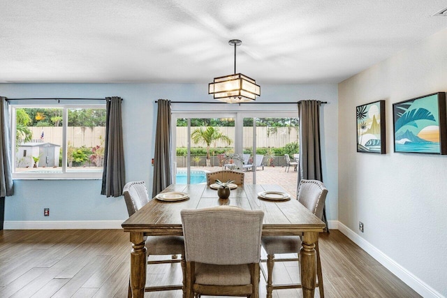 dining room with wood-type flooring, a textured ceiling, and a wealth of natural light