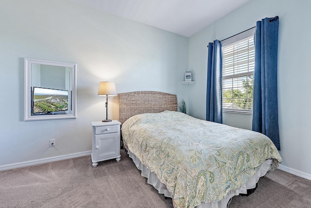 bedroom with carpet floors