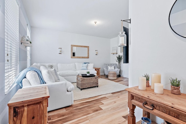 living room with light hardwood / wood-style flooring