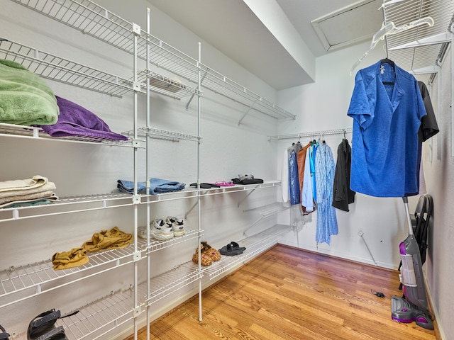 walk in closet featuring wood-type flooring