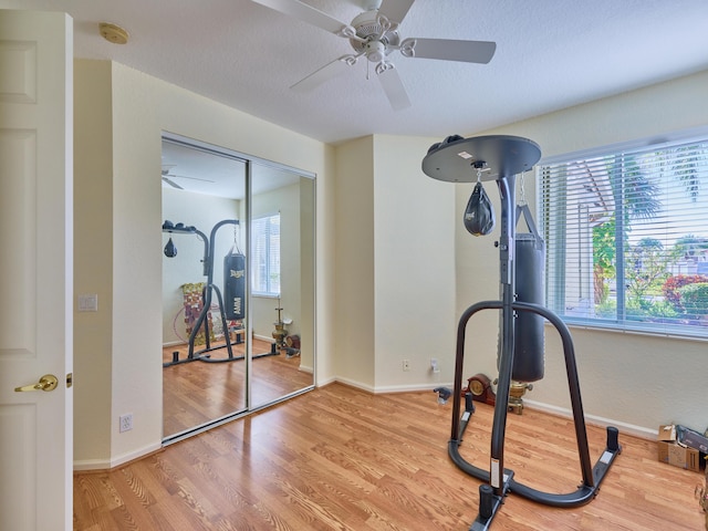 exercise room featuring ceiling fan and wood-type flooring