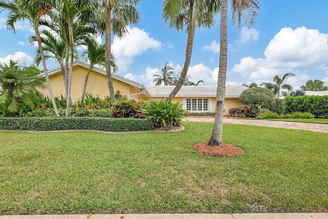 view of front of house featuring stucco siding, driveway, and a front lawn