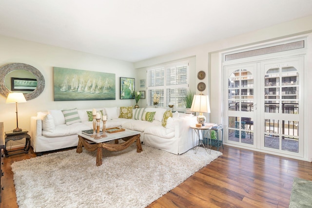 living room featuring wood-type flooring