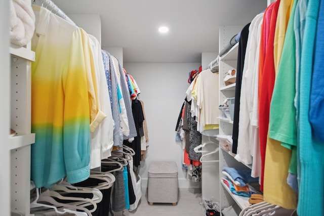 view of spacious closet