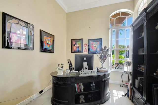 office with carpet flooring and crown molding