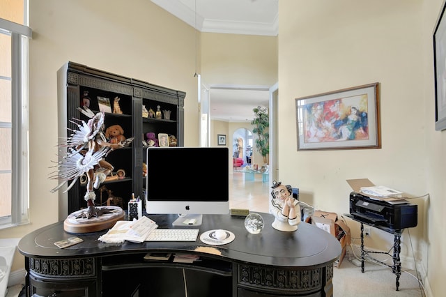 office area with carpet flooring and ornamental molding