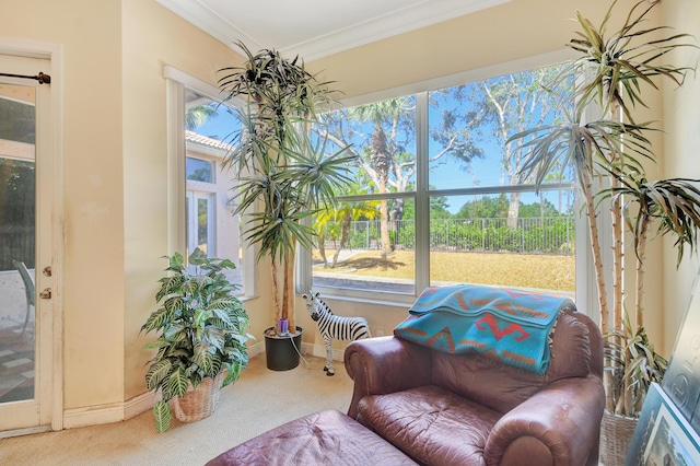 living area with carpet flooring and crown molding