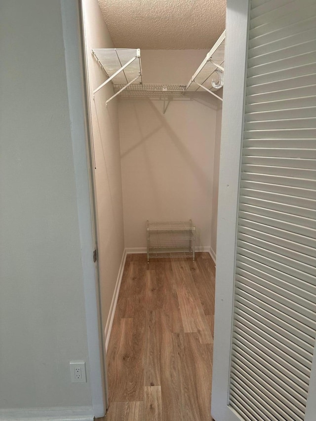 spacious closet featuring hardwood / wood-style floors