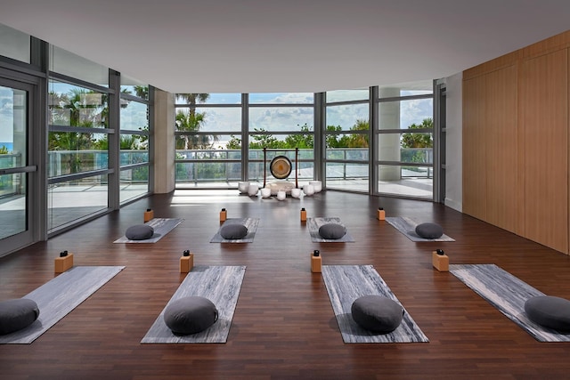 workout area with floor to ceiling windows, dark hardwood / wood-style floors, and a wealth of natural light