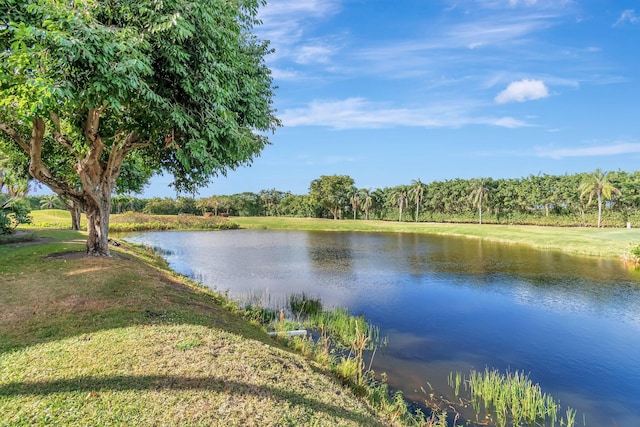 property view of water