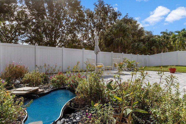 view of pool with a patio area