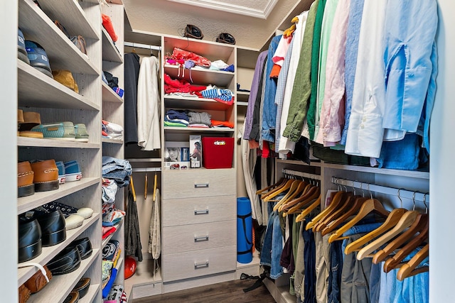 spacious closet featuring dark wood-type flooring