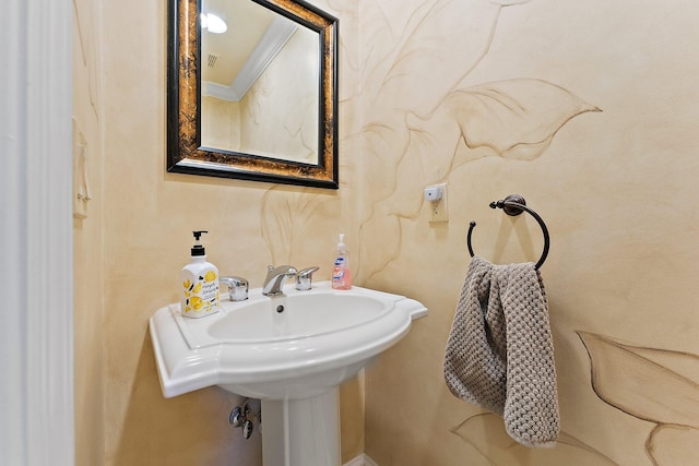 bathroom with ornamental molding and sink