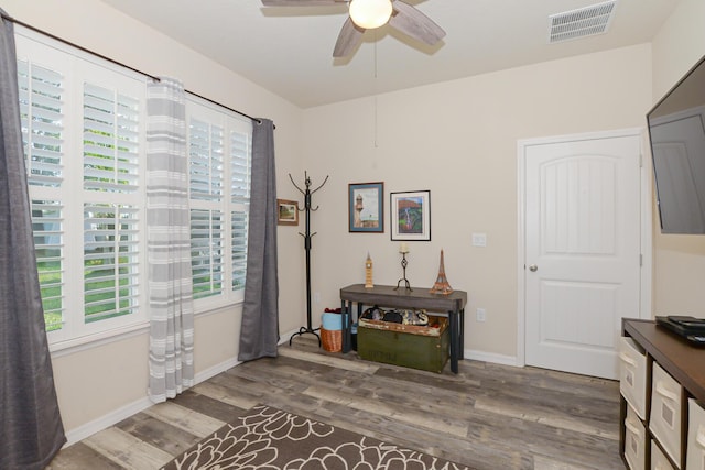 interior space featuring a wealth of natural light, ceiling fan, and wood-type flooring