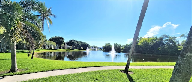 water view