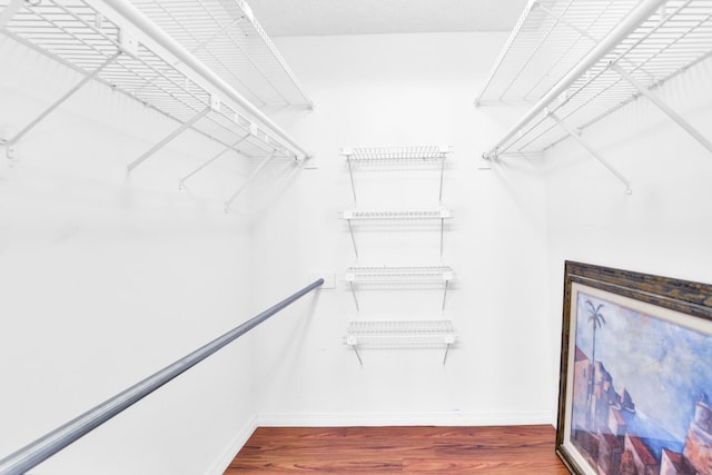 walk in closet featuring wood-type flooring