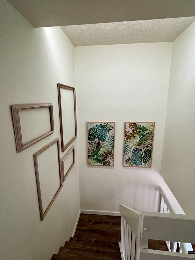 staircase featuring hardwood / wood-style flooring