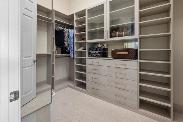 spacious closet featuring light carpet