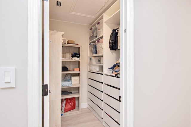 walk in closet featuring light hardwood / wood-style floors