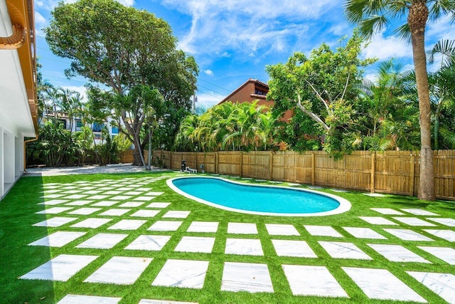 view of pool with a yard