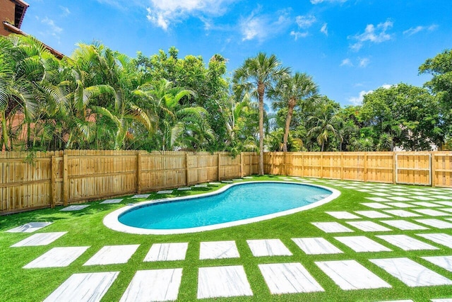 view of swimming pool with a yard