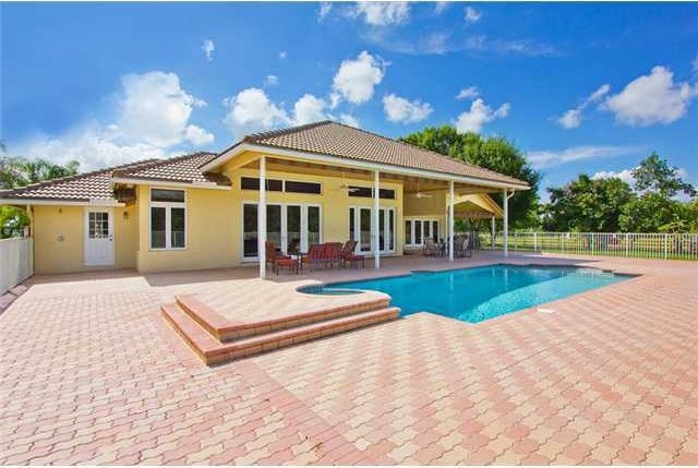 view of pool featuring a patio area and ceiling fan