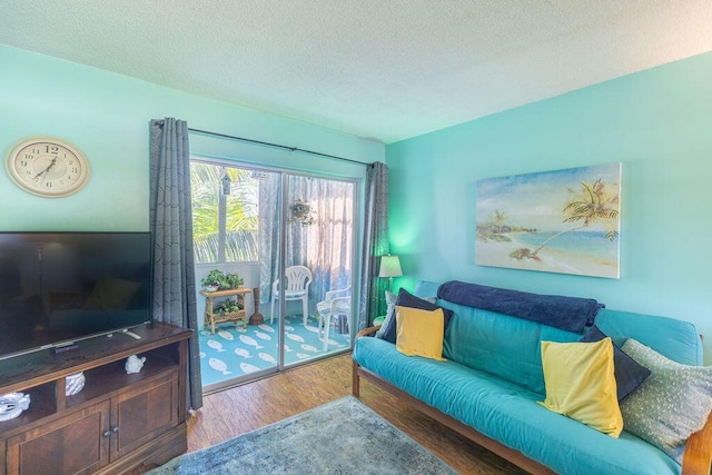 living room with hardwood / wood-style floors and a textured ceiling