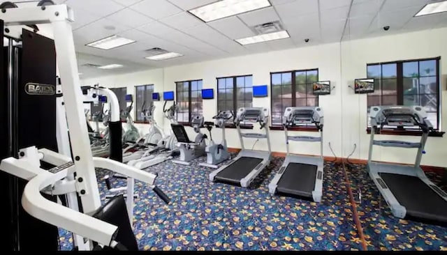 exercise room featuring carpet and a paneled ceiling