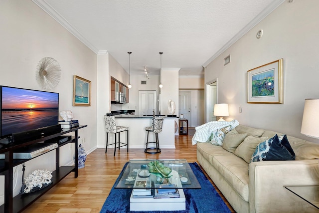 living room featuring crown molding, light hardwood / wood-style floors, and a textured ceiling