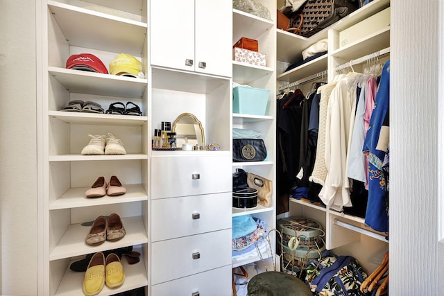 view of spacious closet