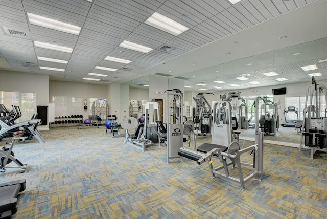 exercise room with carpet and a high ceiling