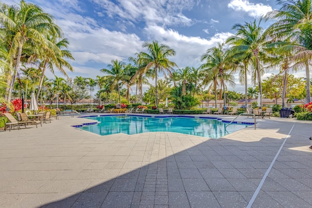 view of pool with a patio