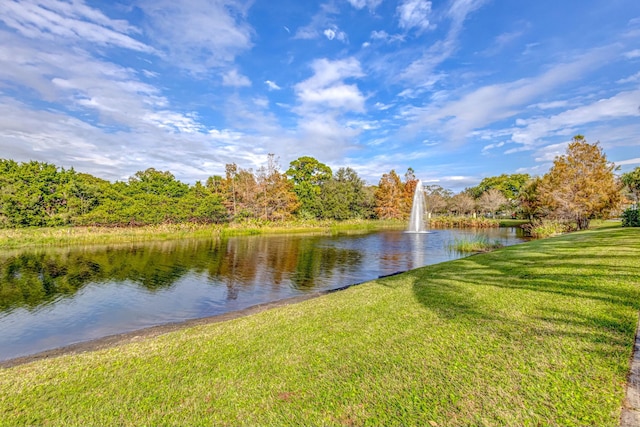 property view of water