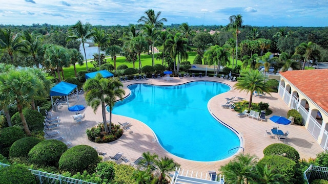 view of swimming pool featuring a patio