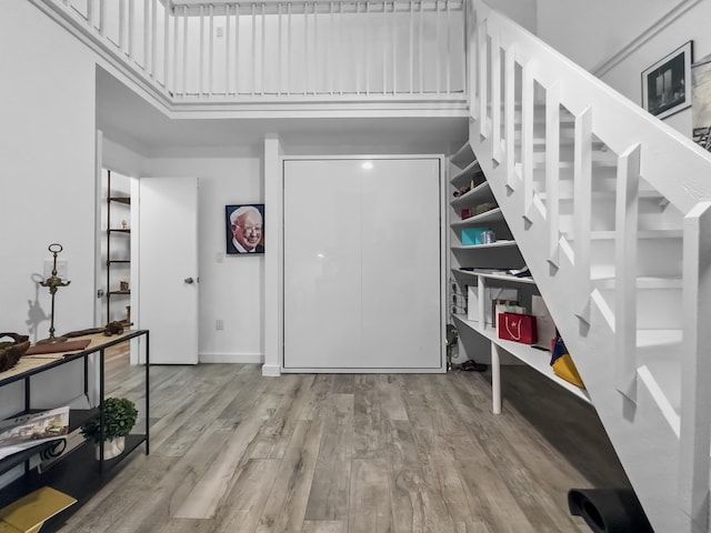 foyer entrance with a towering ceiling and light wood-type flooring