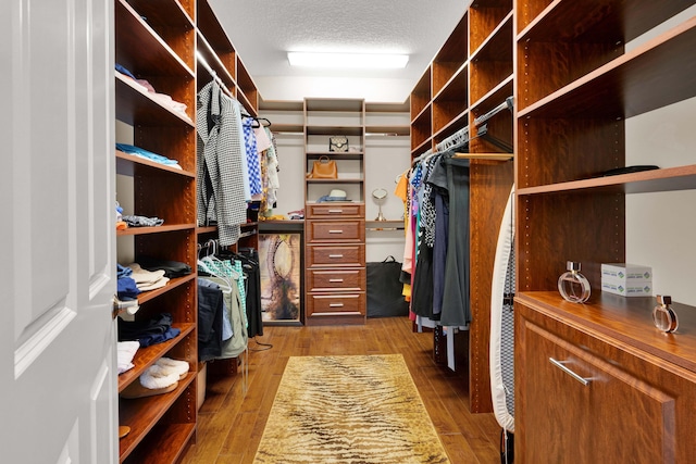 spacious closet with wood-type flooring