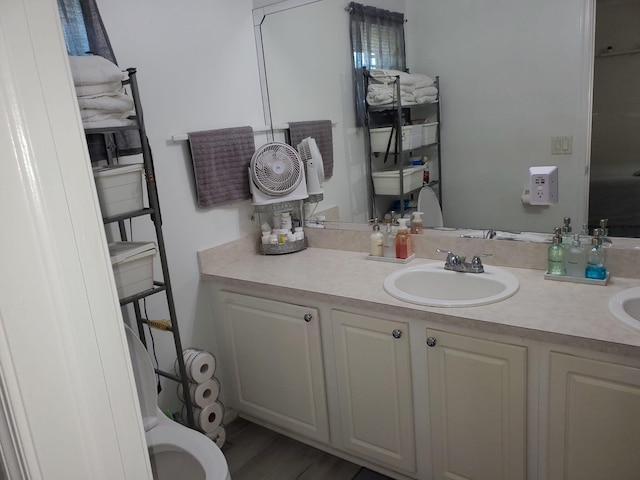 bathroom with vanity and wood-type flooring