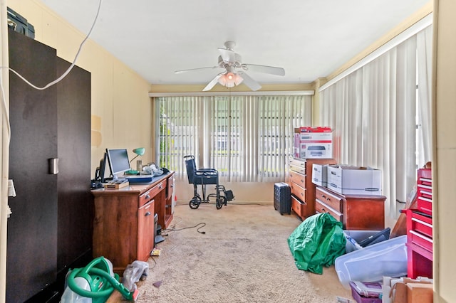 office space with light carpet and ceiling fan