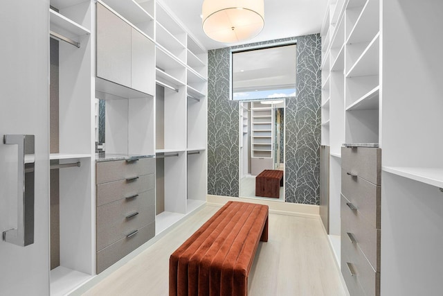 spacious closet featuring light hardwood / wood-style floors