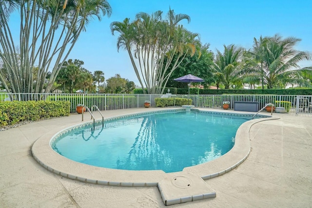 view of pool featuring a patio area