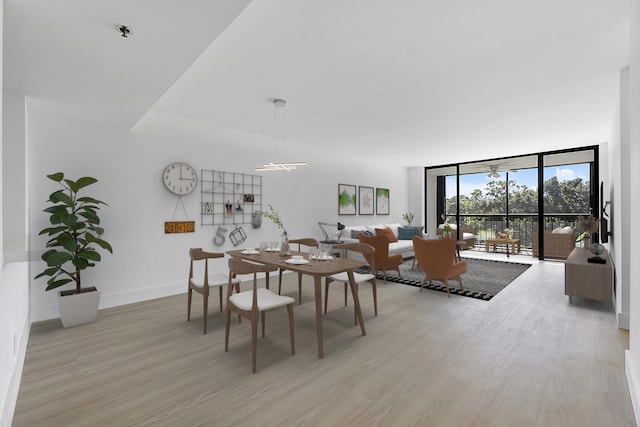 dining space with light hardwood / wood-style floors