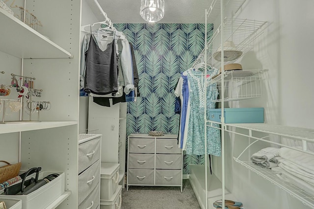 walk in closet with carpet floors