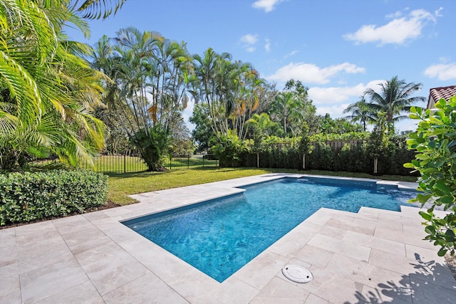 view of pool with a lawn and a patio